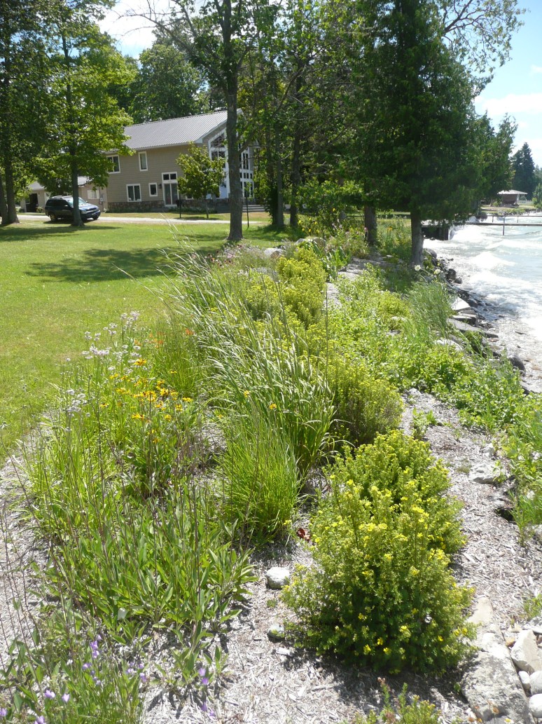 #1.8aGreenbelt 2-yrs later