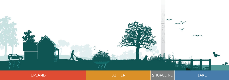 ShorelineStewardimage